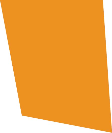 Business meeting with team discussing strategy